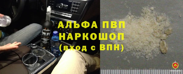 круглые Белокуриха