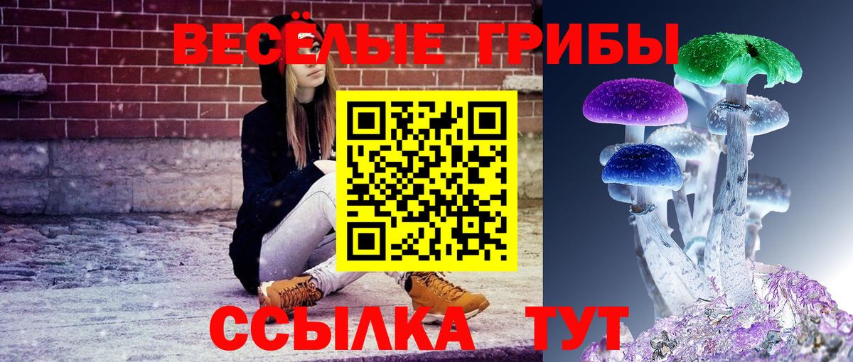 Бутурлиновка  Псилоцибиновые грибы прущие грибы  Псилоцибиновые грибы MAGIC MUSHROOMS  Вход с VPN 